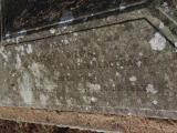 image of grave number 954316